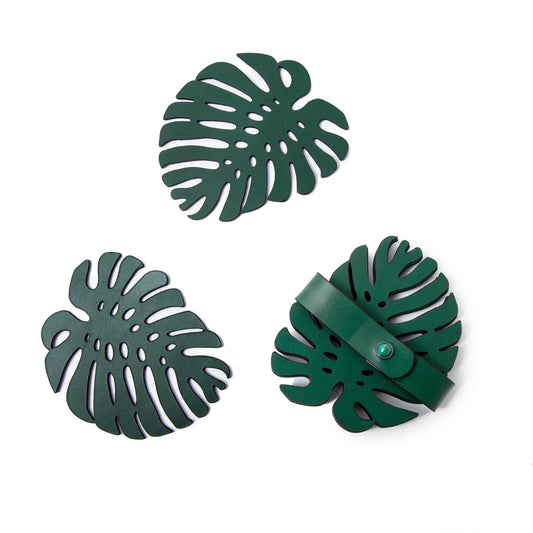 Curiosity Coasters – Leaf (Set of 6)
